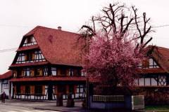 Old House